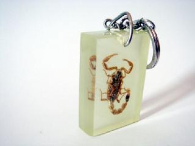 Chinese Academy of Sciences scorpion Scorpion keyring about Molecular Biology and Evolution Venom